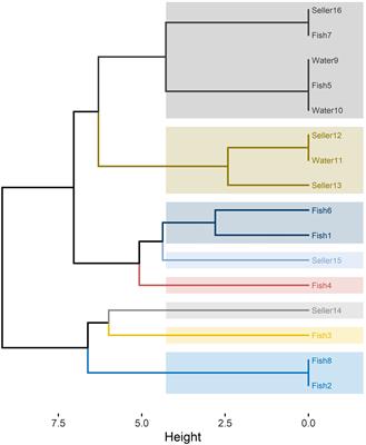 Antifungal and antibiofilm effects of probiotic Lactobacillus salivarius, zinc nanoparticles, and zinc nanocomposites against Candida albicans from Nile tilapia (Oreochromis niloticus), water and humans